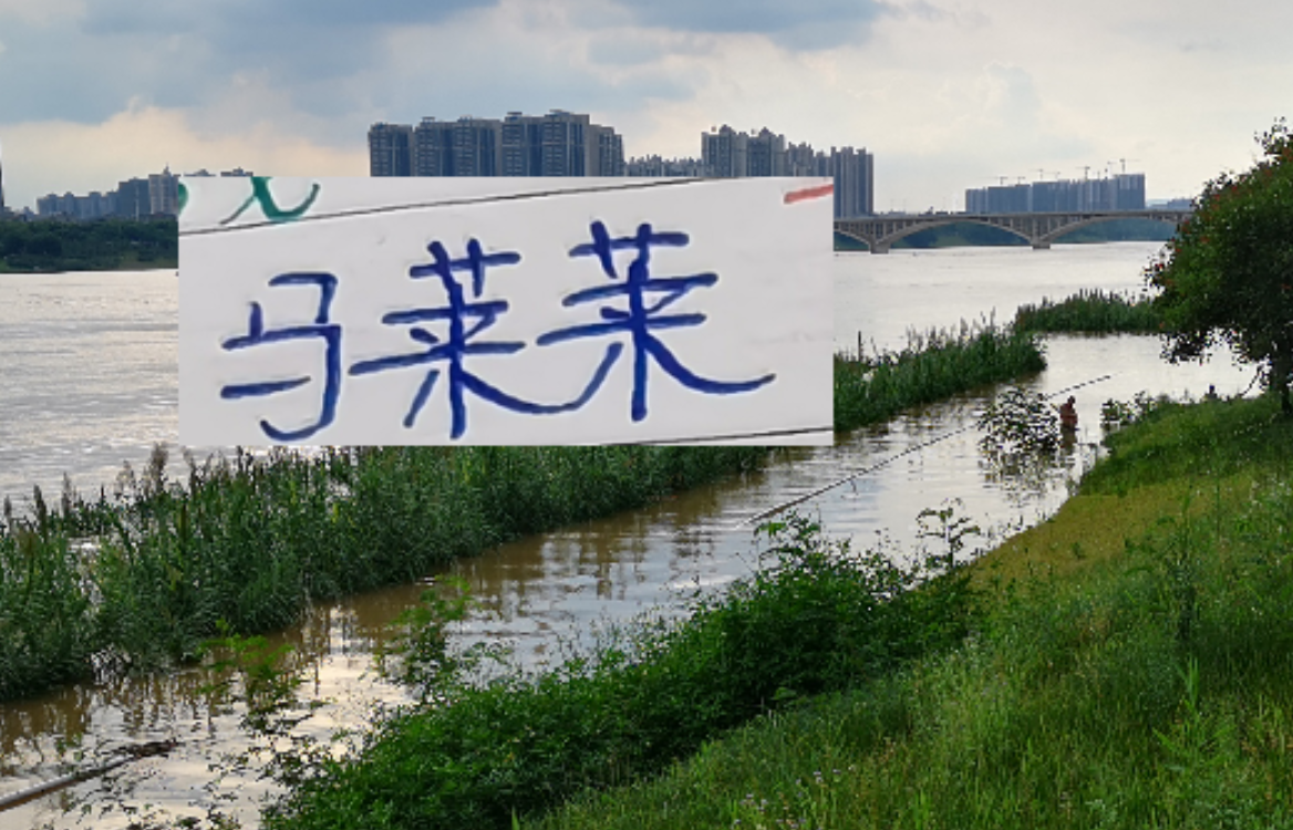 如何防隔壁豪华版的马莱莱 是海港穆帅新赛季要应对的一个课题